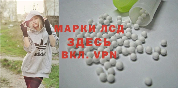 стаф Абинск