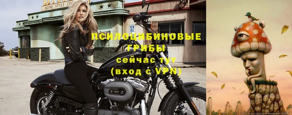 прущие грибы Алексин