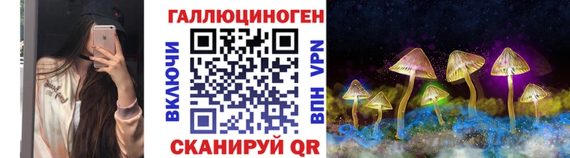 Псилоцибиновые грибы Psilocybe  MEGA ссылки  Железноводск 